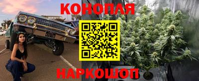ALPHA PVP Кунгур