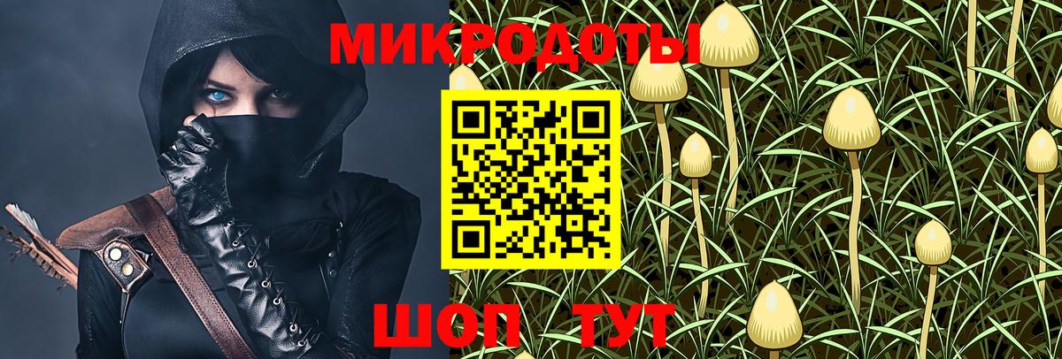 Галлюциногенные грибы мухоморы Чехов